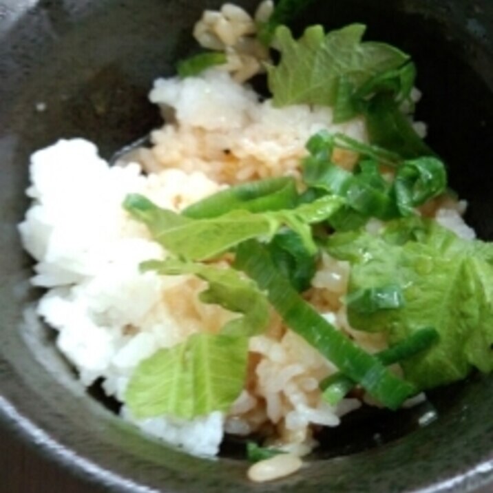 ごま油としそが香る卵かけご飯 レシピ 作り方 By 節約大好き二児ママ 楽天レシピ ごま油としそが香る卵かけご飯 レシピ 作り方 By 節約大好き二児ママ 楽天レシピ